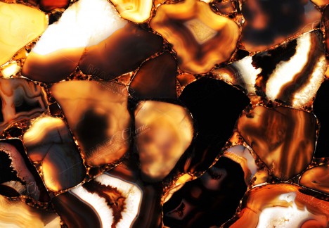 Agate Umbra - Detail Backlit