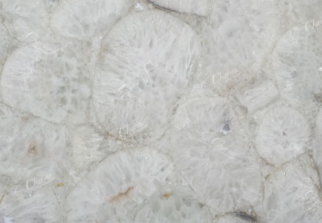 Agate Jellyfish - Detail