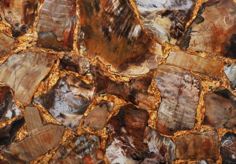 Petrified Wood Brown Small With Gold - Detail