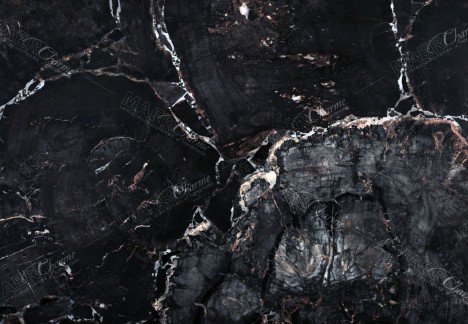 Petrified Wood Black - Detail