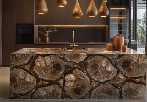 Petrified Wood Brown