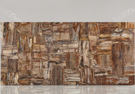 Petrified Wood Multicolor Retro