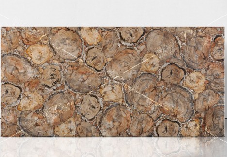 Petrified Wood Brown Beige