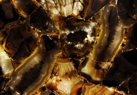 Agate Phoenix - Detail Backlit